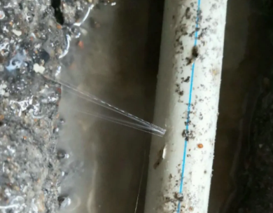 海伦测漏水哪家好