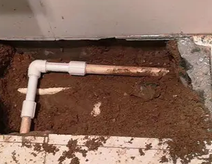 海伦测漏水哪家好