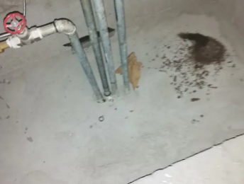 海伦卫生间测漏水价格明细