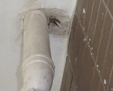 海伦漏水检测哪家好